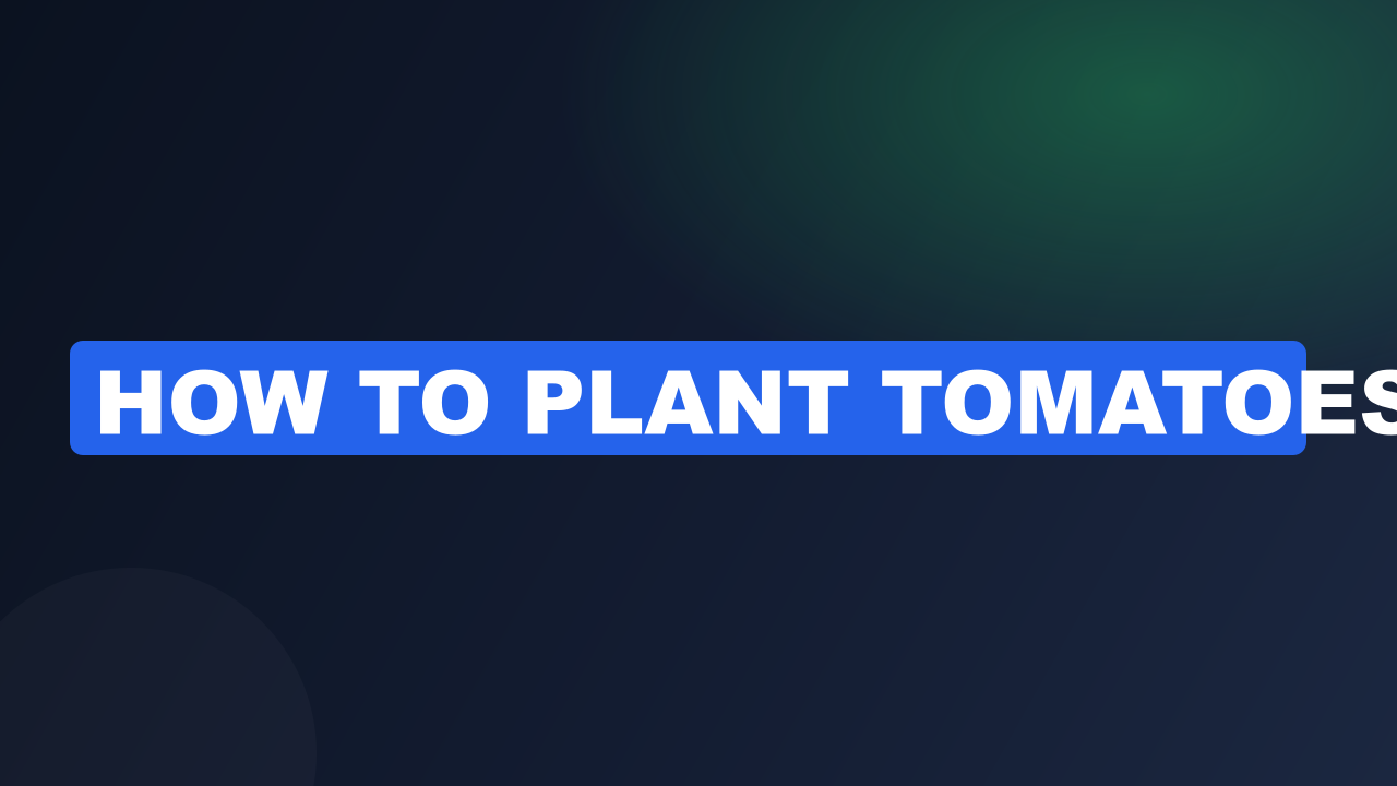 How to Plant Tomatoes